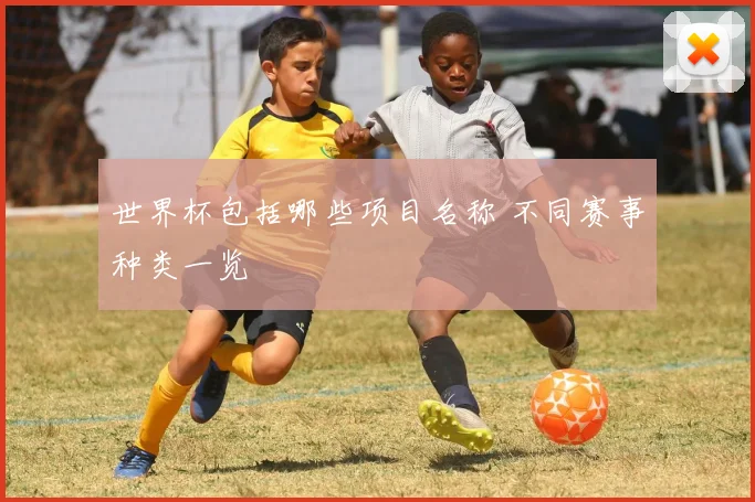 世界杯包括哪些项目名称 不同赛事种类一览