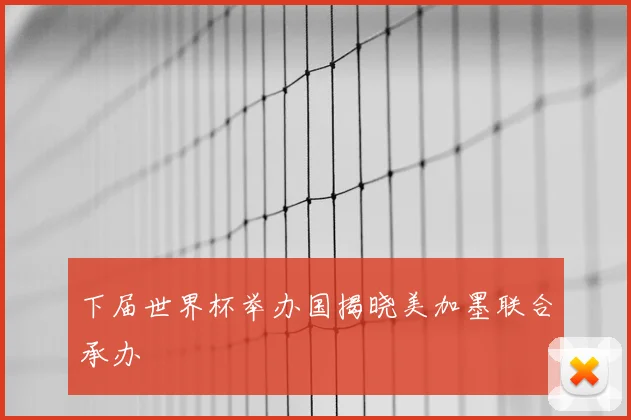 下届世界杯举办国揭晓美加墨联合承办