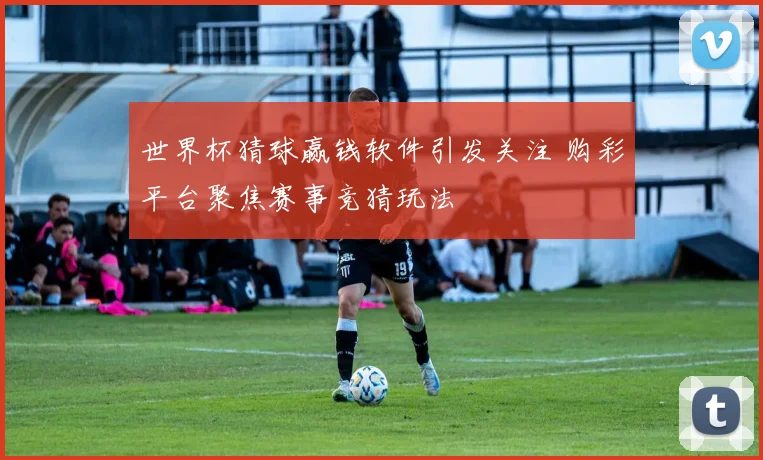 世界杯猜球赢钱软件引发关注 购彩平台聚焦赛事竞猜玩法